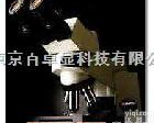  CX41 <em>新疆</em>区生物<em>显微镜</em>CX41价格、<em>新疆</em>区教学级生物<em>显微镜</em>规格、<em>新疆</em>区奥林巴斯生物<em>显微镜</em>性价比