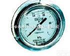  YO/YA/YY-100(<em>150</em>) <em>特种</em>压力表