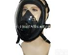  BD169685 呼吸<em>器用</em>全脸式<em>球型</em><em>面罩</em>