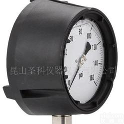  <em>精密</em>特殊气体<em>压力表</em>