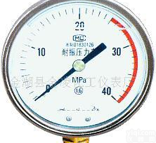  <em>YN系列耐振压力表</em>