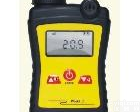  可燃气体检测仪 PGas-21-FL <em>多功能检测报警仪</em> 河南智仪 厂家直销