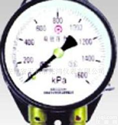  <em>压力表</em> YZS-102 双针<em>压力表</em>,20年<em>专业</em>老厂品质