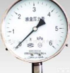 <em> YE系列不锈钢膜盒压力表</em>,专业厂家,1年质保