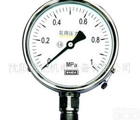 <em> YA-100、150系列氨压力表</em>