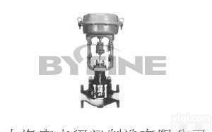 CV3000<em>系列</em>HCB  笼式<em>双座</em><em>调节阀</em>