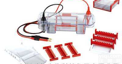 上海天能 HE-<em>90</em>  <em>水平电泳</em>槽