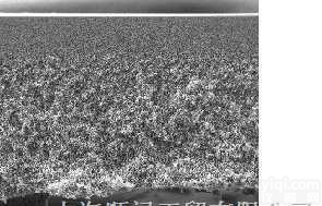 <em>Millipore</em>  Biomax高<em>流速</em>聚醚砜超滤膜