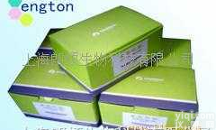 100T  omega<em>质粒</em>提取试剂盒/<em>质粒</em>小提/<em>质粒</em>中提/<em>质粒</em>大提