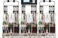 MULTIFORS  <em>并联</em><em>发酵罐</em>