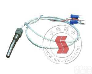 <em>WZCM</em>、WZPM   供应:端面<em>热电阻</em> 产品型号：<em>WZCM</em>、WZPM