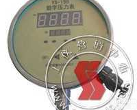 全智能数字压力表  <em> 全智能数字压力表</em>