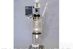 <em>TFD-2  双层玻璃反应釜TFD-2</em>