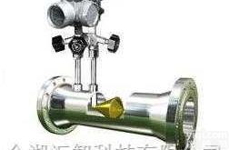 <em>HZ-W  V锥流量计</em>