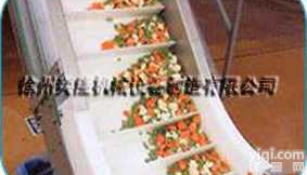 奕隆<em>挡板</em><em>输送机</em>