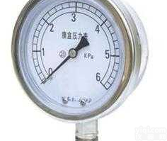 YE-100 <em> YE系列不锈钢膜盒压力表</em>