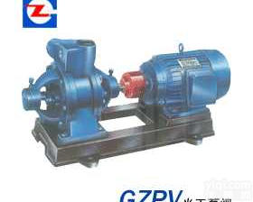 W型  <em>W型单级悬臂式旋涡泵</em>