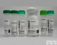 C22-601-11  <em>Recombinant</em> <em>Human</em> LA autoantigen（ss...