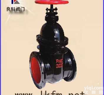 闸阀:<em>Z45T-10型暗杆楔式闸阀</em>