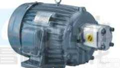 MP-5P-4H523+PLS   MP-5P-4H523+SGP1A<em>定量</em><em>齿轮泵</em>电机组合  <em>定量</em><em>齿轮泵</em>电机组合