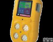 BX616 <em> BX616型便携式四气体探测器</em>