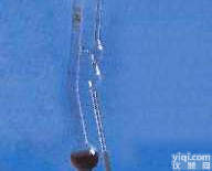 1840芬氏<em>粘度计</em><em>坎农</em>-芬<em>斯克</em>  1840芬氏<em>粘度计</em><em>坎农</em>-芬<em>斯克</em>