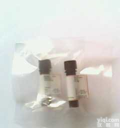 100mg  <em>腺苷</em>3‘5环磷酸 （<em>腺苷</em>环磷酸）/<em>Adenosine</em>-3'5'-cyc...