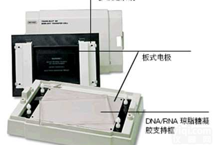 Trans-Blot SD  美国<em>伯乐</em>半干<em>转印</em>槽-北京赛百奥科技