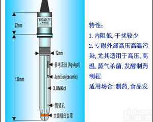 F-<em>900</em>-B130-A10BC  B.J.C 高温/高压/发酵专用氧化还原<em>电极</em> F-<em>900</em>
