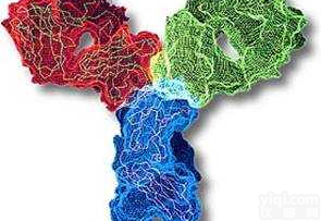 <em>抗体</em>的<em>制备</em>与修饰服务