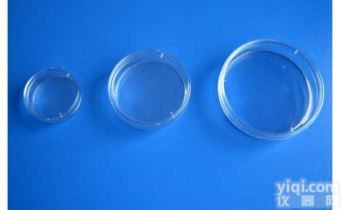 60mm <em> 石英培养皿</em>