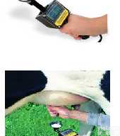 Ma-1  <em>乳腺炎</em>快速<em>检测仪</em>