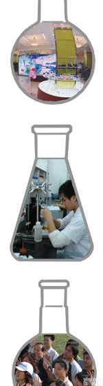 2838  单联  <em>双联</em> <em>三联</em>  电炉系列