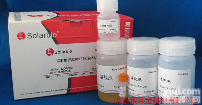 DEPC<em>处理</em>水（DNase/<em>RNase</em>-free ddH2O）