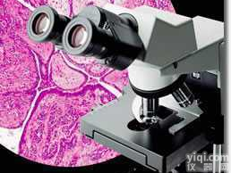 CX31<em>生物</em><em>显微镜</em>/日本<em>OLYMPUS</em>  <em>生物</em><em>显微镜</em>