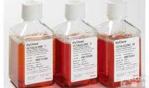 SV30087.02  <em>南美洲胎牛血清</em>