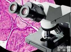 olympus<em>奥林帕斯</em>CX31生物<em>显微镜</em>  olympus<em>奥林帕斯</em>CX31生物<em>显微镜</em>