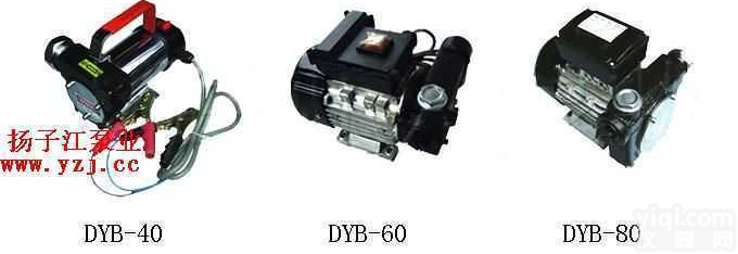 DYB  <em>油泵:DYB电动油泵</em>