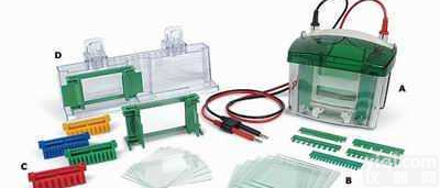 美国biorad,美国labnet,六一，君意，<em>凯元</em>等  实验室小型电泳仪<em>电泳槽</em>