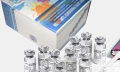 48T/96T  组织蛋白去乙酰化酶（<em>HDAC</em>/HD）试剂盒