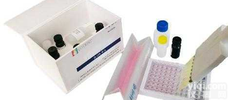 96T  饲料<em>莱克多巴胺酶联免疫试剂盒</em>