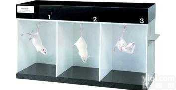 DB008型  <em>悬尾实验</em><em>视频分析</em><em>系统</em>