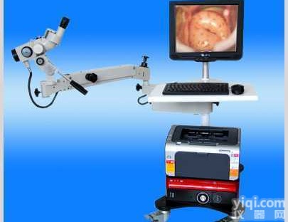 WH-SMA  日本<em>奥林巴斯</em><em>光学</em>电子<em>阴道</em>镜