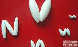 Φ5*10mm  <em>四氟磁力搅拌子</em>A型  四氟搅拌子 磁力搅拌子 Φ5*10mm