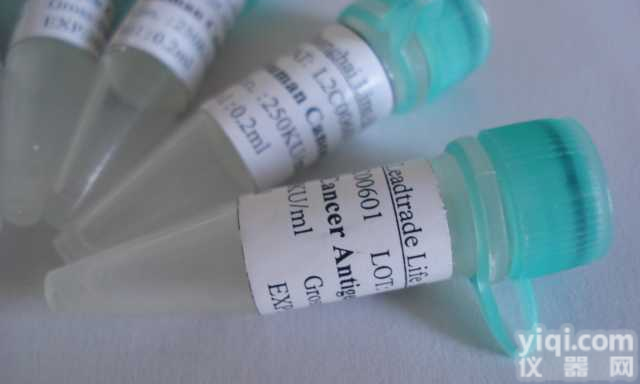 B-02093  <em>活化</em><em>白细胞</em><em>粘附</em>分子抗体