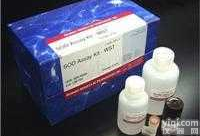 A-01057  禽脑<em>脊髓炎</em><em>病毒</em><em>抗体</em>