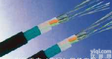 <em>GYTY53</em>  <em>GYTY53</em><em>光缆</em>厂家