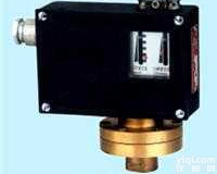 <em>D500/18D  压力控制器</em>|D500/18D|