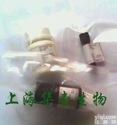 HQ0123  对<em>氨基</em>苯磺<em>酰胺</em>/<em>磺胺</em>/氨苯磺<em>酰胺</em>/氨苯<em>磺胺</em>/磺<em>酰胺</em>/氨苯磺<em>酰胺</em>/4-氨...