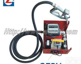 ETP-60  <em>油泵</em><em>总成</em>（加油机）